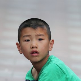 下午拍了几张人啊，鸟的。其中有麻雀性 生活的哟