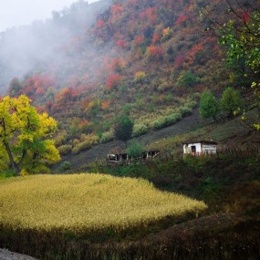 烟雨中的库尔德宁小景