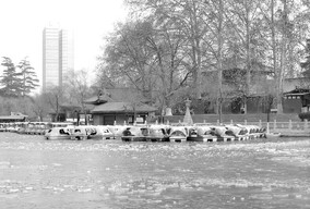 冬日兴庆湖（2）