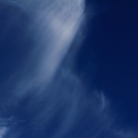 凑热闹 南湖荷塘