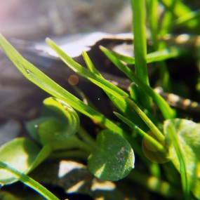 山顶之作——手机拍摄