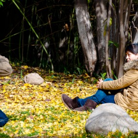 银杏叶黄满地金