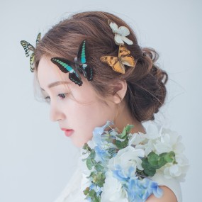 寒冷的那些姑娘（含参数）