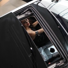 来一个野性的，与众不同