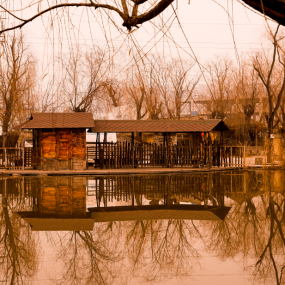 一年四季都可以去的周至水街 沙河湿地公园