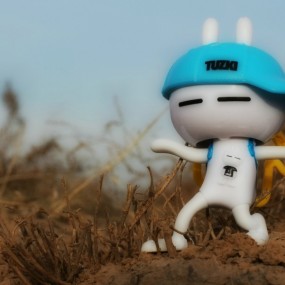 新手报道  一对好基友