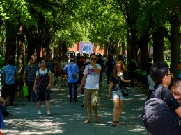 春秋晨暮祈安康