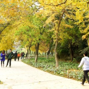 兴庆公园的秋色