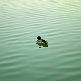 西安建筑科技大学 个别同学参赛作品