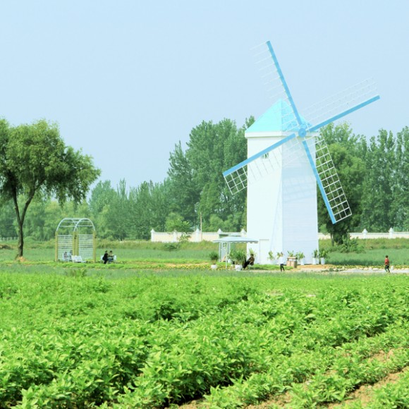 周至薰衣草庄园