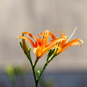 今天去老袁单位，路上随手拍了三张