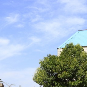 上班路上，那一抹靓丽！