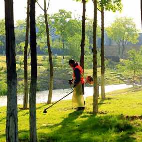 五一节，致敬劳动者