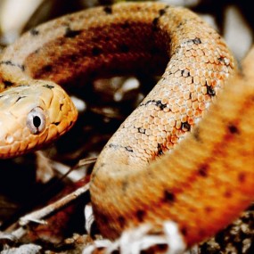 去年抱龙峪所见