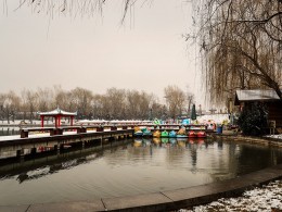 春撒瑞雪扮靓景