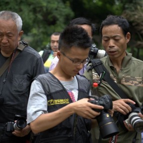 兴庆宫花絮两张