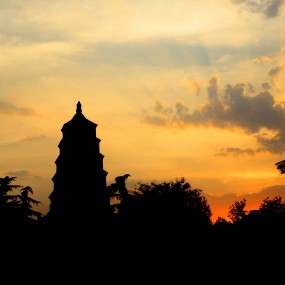 大雁塔的朝朝暮暮