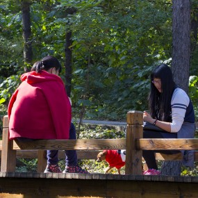 《栈道、女人和狗》