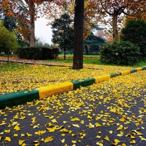 秋——别样的美景