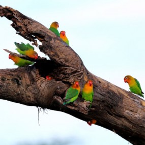 试贴， 请千万不要点击