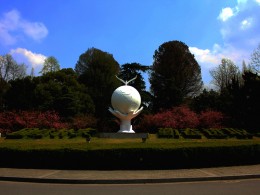 2019南京林业大学的櫻花