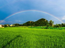 七月，去普者黑旅行