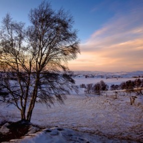 坝上冬日（六）