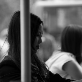 再发一贴《春末夏初-西安高新》