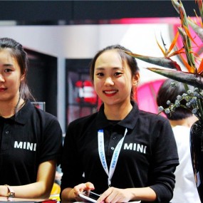 2015西安（国庆）车展  之  漂亮女孩