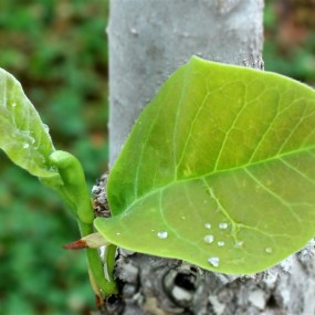 第一次发帖，请拍砖