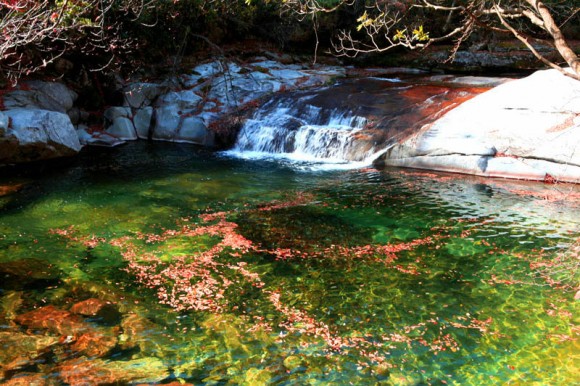姹紫嫣红米仓山