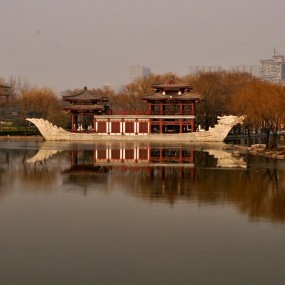 元旦——芙蓉园小景