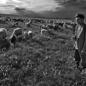 自选典藏：留住真实的瞬间（六）