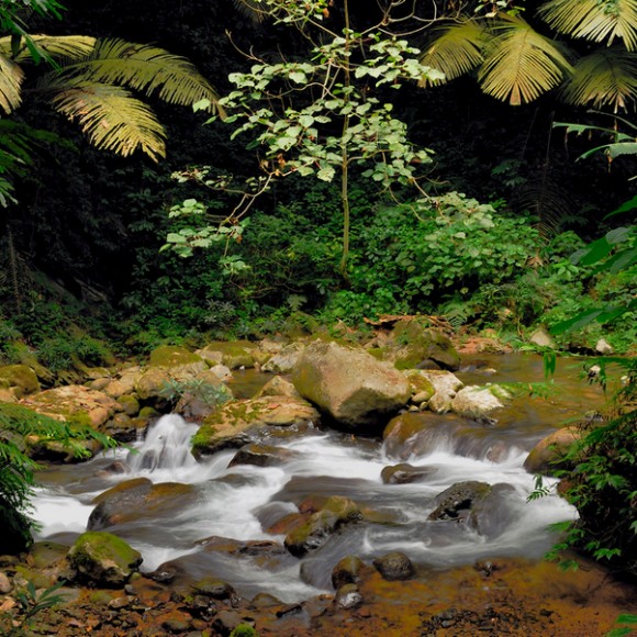 通灵大峡谷随拍