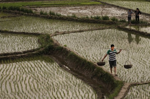 直击秦直道  《陕北处处赛江南》