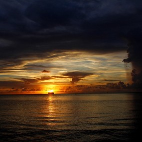 这个恐龙是不是要把太阳吃掉！