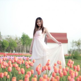 西安摄影论坛沣东农博园活动