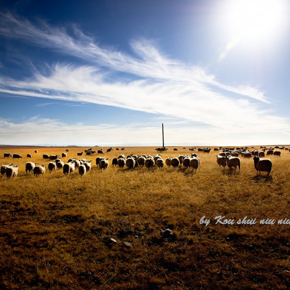 《2012我的西行漫记2--祁连草原风光》