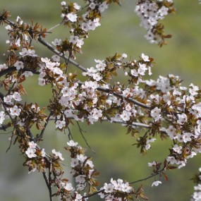 新手随拍，欢迎拍砖