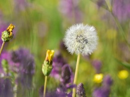 指尖触碰年轮，身躯温暖土壤，秘境甘南，我在这里等你！