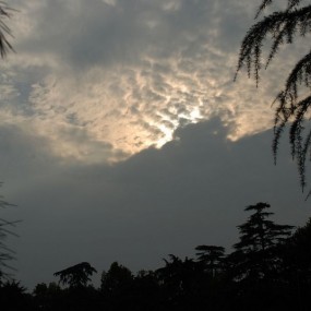 兴庆宫公园外拍花絮