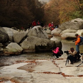 【实拍】拍摄者：入镜