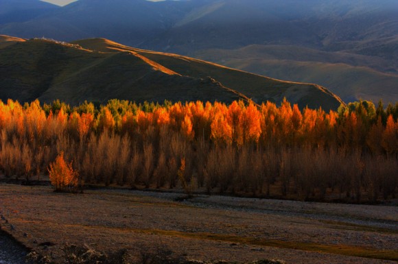没有消失的地平线--稻城、亚丁、中甸、丽江之行