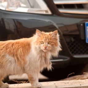 纺织城艺术中心随拍