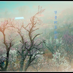 华胥村杏花谷掠影