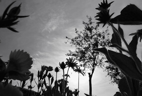 不同时期 不同地点的黑白杂片