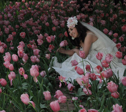 郁金洒香的婚纱