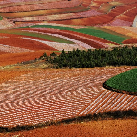 2012----我的回顾（一）