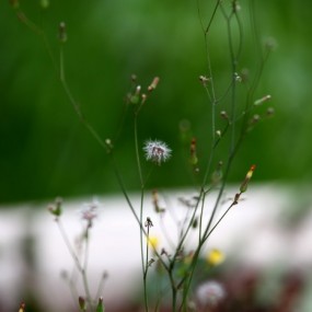 街拍不行，就搞静拍好了。