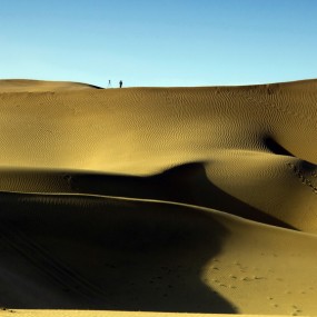 七月的库布其沙漠